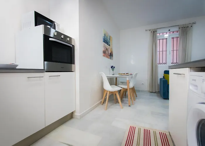 Apartamento Holidays2malaga Eduardo Ocon Centro Y Planta Baja *
